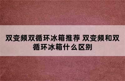 双变频双循环冰箱推荐 双变频和双循环冰箱什么区别